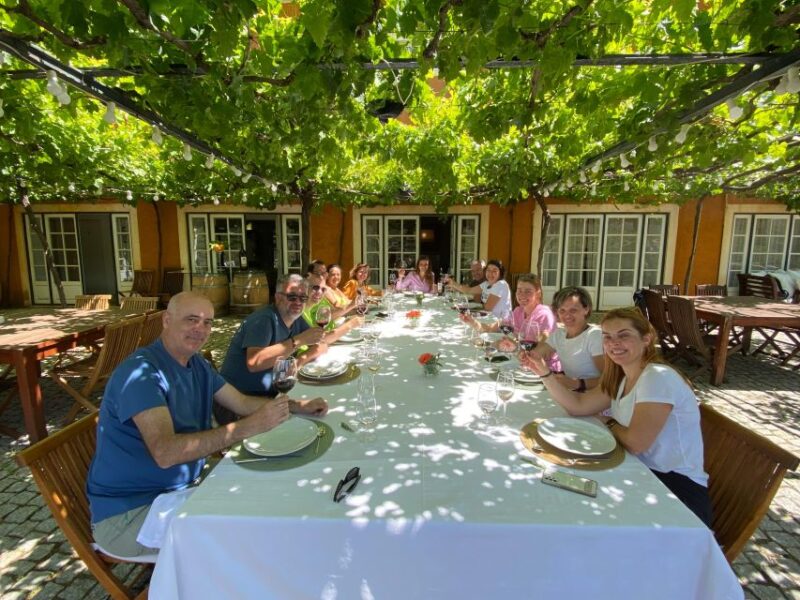 Douro: Luxury Walking With Full Lunch at Quinta Do Vallado - Accessibility and Group Information