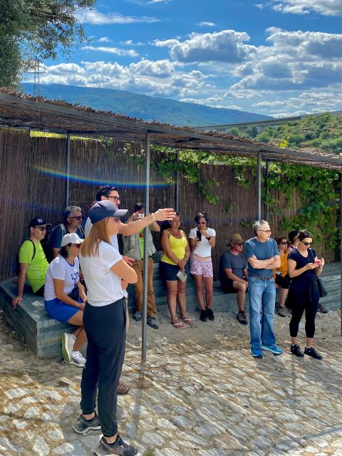 Douro: Luxury Walking With Full Lunch at Quinta Do Vallado - Exclusive Luxury Experience