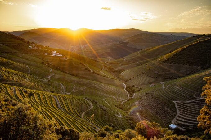 Douro: Magical Moments - Explore the Douro Valley