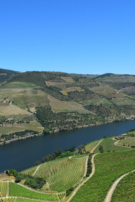 Douro Off-Road Experience: Visit to a Winery and a Picnic - Inclusions and Exclusions