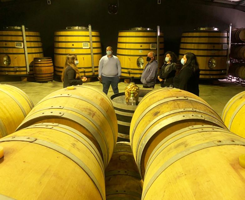 DOURO PREMIUM - Customer Reviews and Ratings