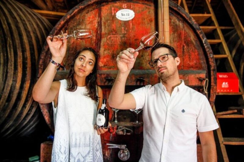 Douro: Premium Wine Tasting and Tapas Tour - Pricing and Booking
