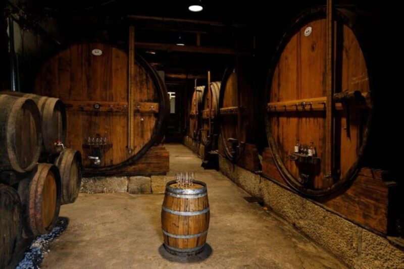 Douro: Premium Wine Tasting and Tapas Tour - Premium Wine Selection