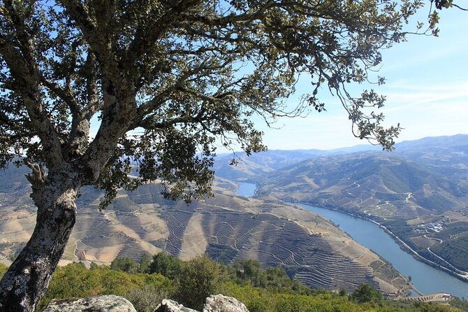 Douro Private Day Tour With Boat Ride - Food and Dietary Accommodations