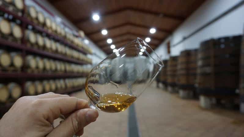 Douro: Quinta Levandeira Do Roncão Tour & Wine Tasting - Experience Highlights