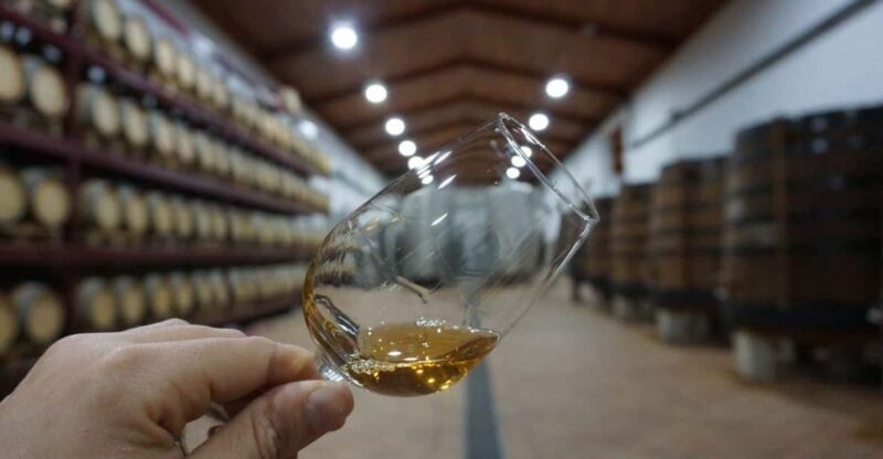 Douro: Quinta Levandeira Do Roncão Tour & Wine Tasting - Tour Itinerary