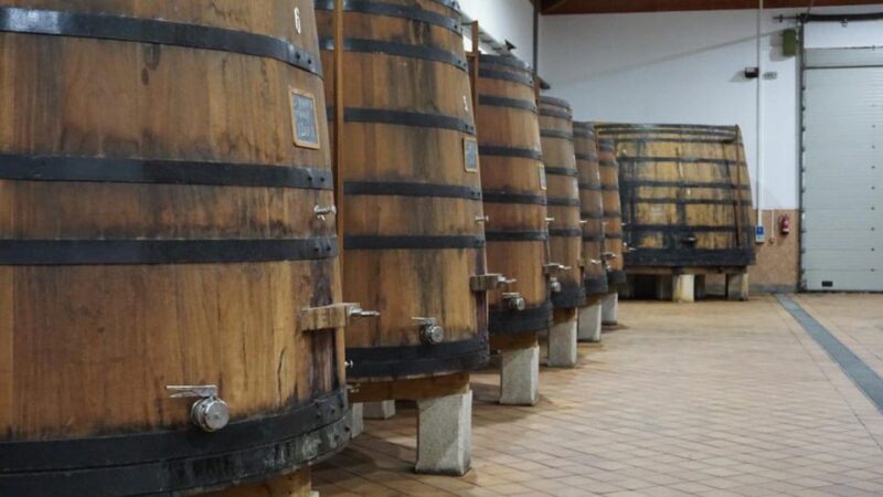 Douro: Quinta Levandeira Do Roncão Tour & Wine Tasting - Estate Accessibility and Policies