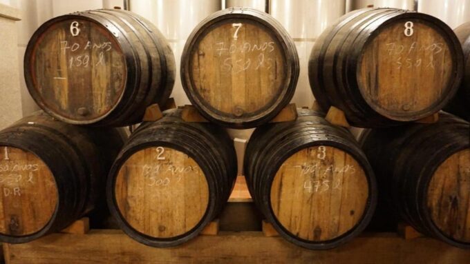 Douro: Quinta Levandeira Do Roncão Tour & Wine Tasting - Exclusions and Additional Options