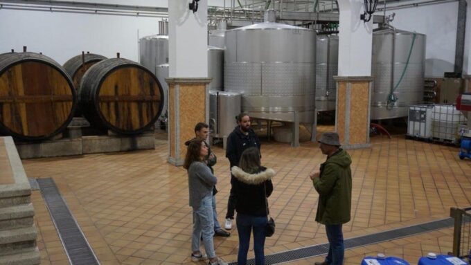 Douro: Quinta Levandeira Do Roncão Tour & Wine Tasting - Frequently Asked Questions
