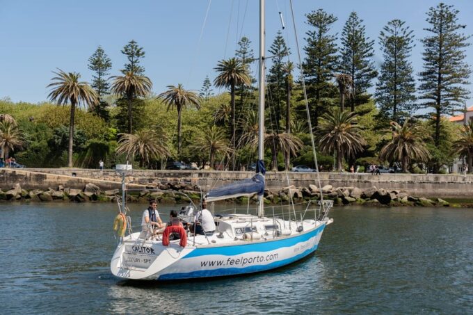 Douro River Cruise With Cheese & Tonic Porto in a Sailboat - Scenic River Cruise