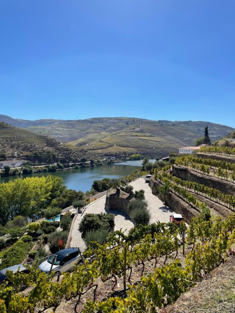 DOURO: TOUR FD DOURO VINEYARD MERCEDES V EXT LONG - Transportation and Accessibility
