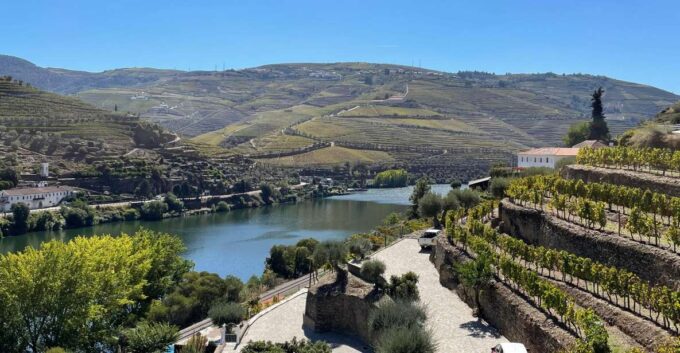 DOURO: TOUR FD DOURO VINEYARD MERCEDES V EXT LONG - Wine Tasting at Quintas Do Douro