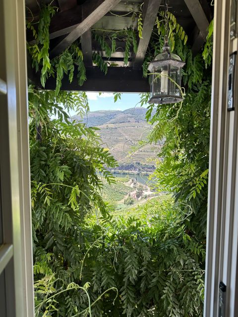 DOURO: TOUR FD DOURO VINEYARD MERCEDES V EXT LONG - Frequently Asked Questions