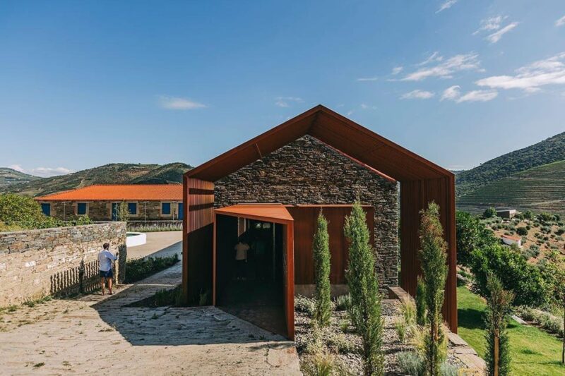 Douro Tour: Renowned Winery's Lunch & Private Luxury Cruise - Key Points