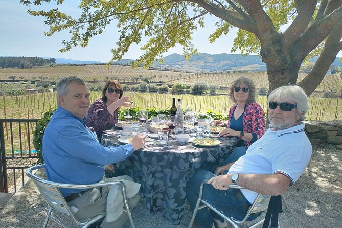 Douro Tour With River Cruise, 2 Wine Estates & Lunch, From Porto - Accessibility