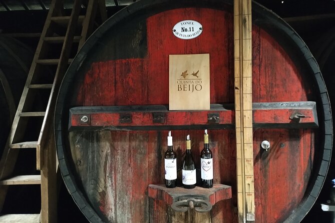 Douro Tour With River Cruise, 2 Wine Estates & Lunch, From Porto - Reviews