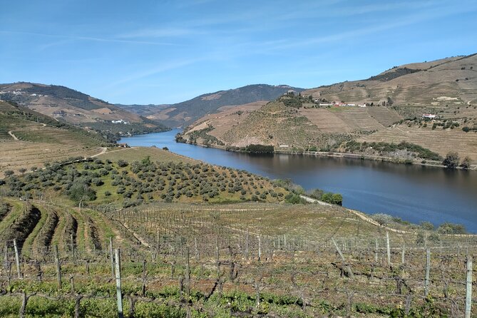 Douro Tour With River Cruise, 2 Wine Estates & Lunch, From Porto - Indulging in the Lunch Experience