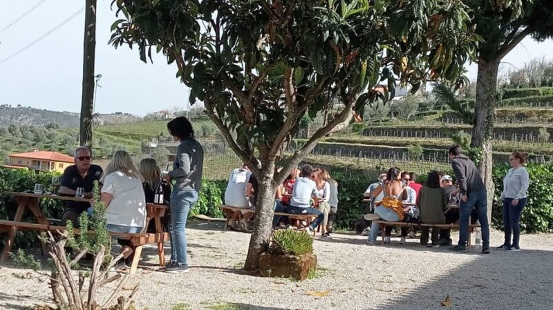 Douro Tour With Wine Tasting and Visit to Lamego and Pinhão - Important Information
