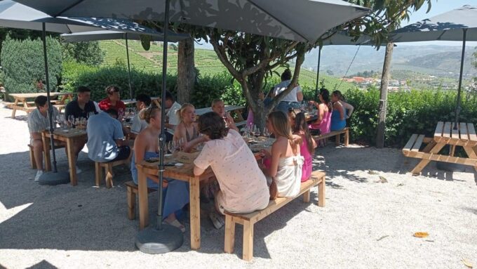 Douro Tour With Wine Tasting and Visit to Lamego and Pinhão - Recap