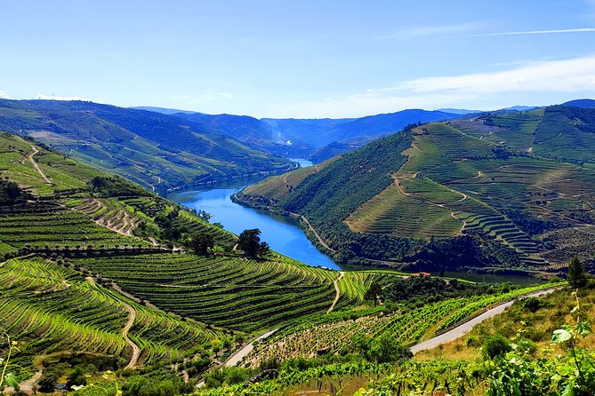 DOURO TOURS - in Pinhão 1 Day All Inclusive 135€, DOURO Valley - Tour Inclusions