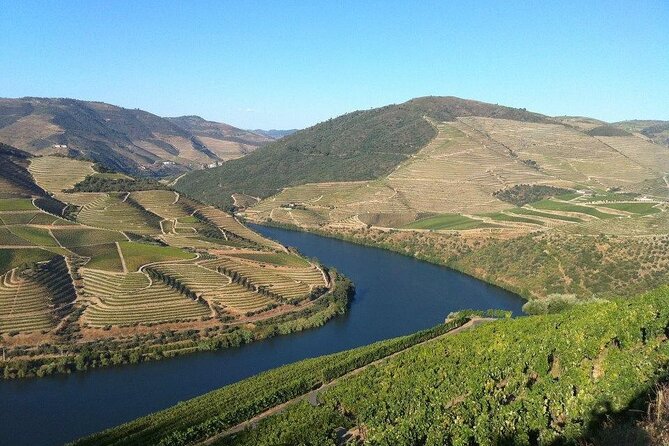 DOURO TOURS - in Pinhão 1 Day All Inclusive 135€, DOURO Valley - Transportation and Seating