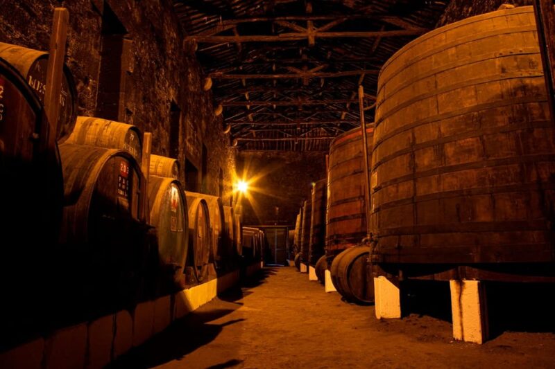 Douro: Unforgettable Douro - Dining Experience