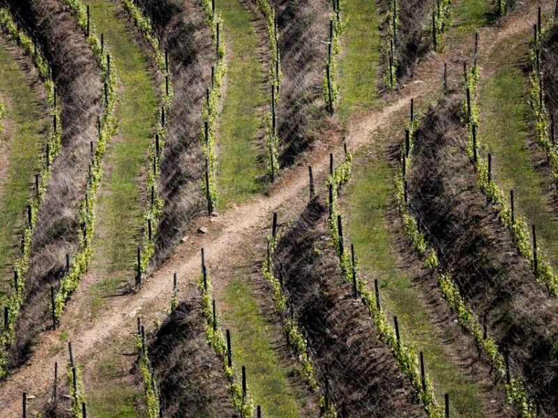 Douro Valley: 1 Day Landscape Photo Tour With a Pro - Key Points