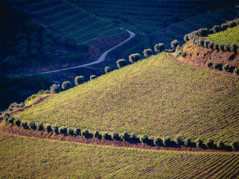 Douro Valley: 1 Day Landscape Photo Tour With a Pro - Experience Details
