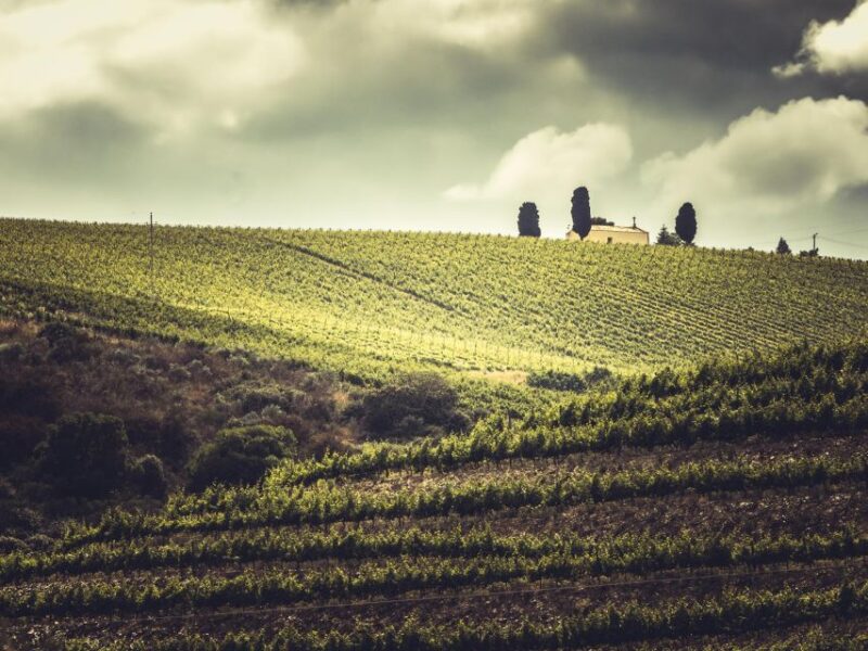 Douro Valley: 1 Day Landscape Photo Tour With a Pro - Pickup and Cancellation