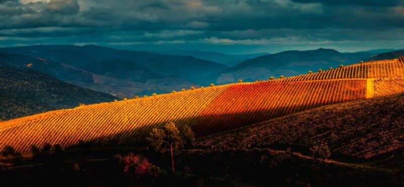 Douro Valley: 1 Day Landscape Photo Tour With a Pro - Restrictions and Limitations