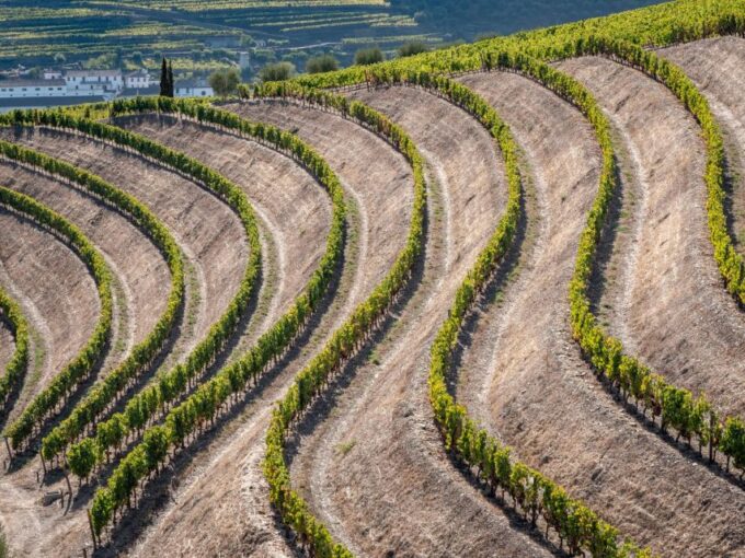 Douro Valley: 1 Day Landscape Photo Tour With a Pro - Customizable Itinerary