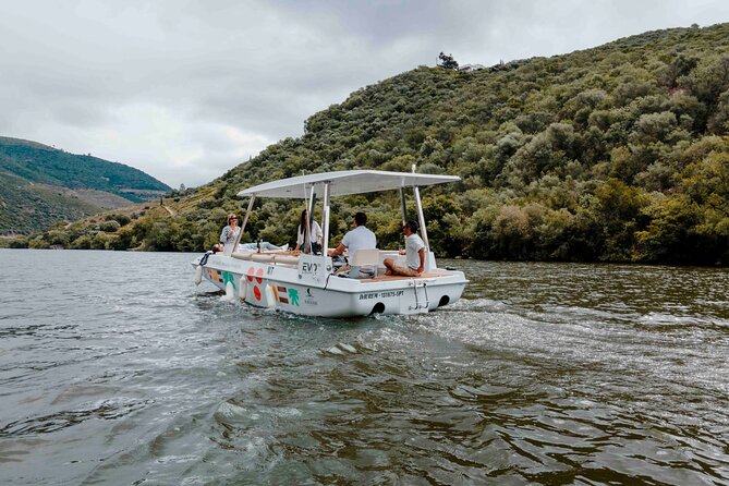 Douro Valley: 1h Solar Boat Experience - Two Wine Tasting - Host Responses and Customer Service