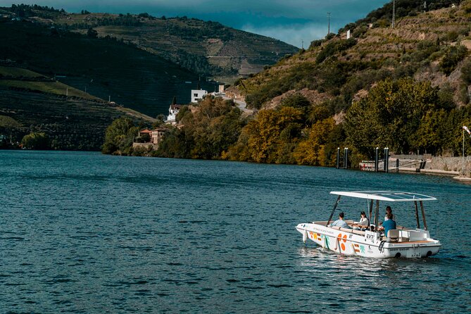 Douro Valley: 1h Solar Boat Experience - Two Wine Tasting - Boat Trip in Douro Valley