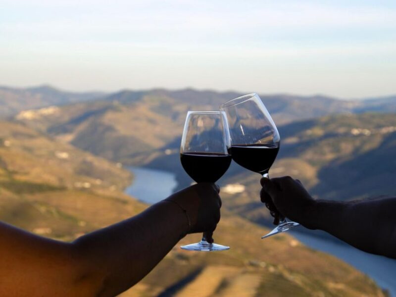 Douro Valley: 3 Vineyards Private Experience - Experience and Activities