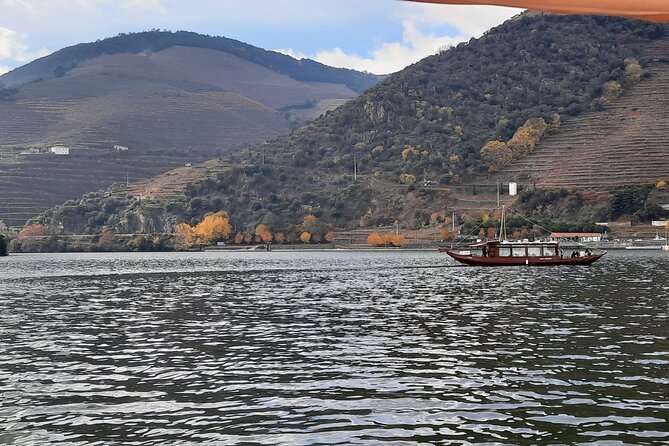 Douro Valley 3 Wine Experiences With Lunch & Optional Boat Cruise - Boat Cruise Option