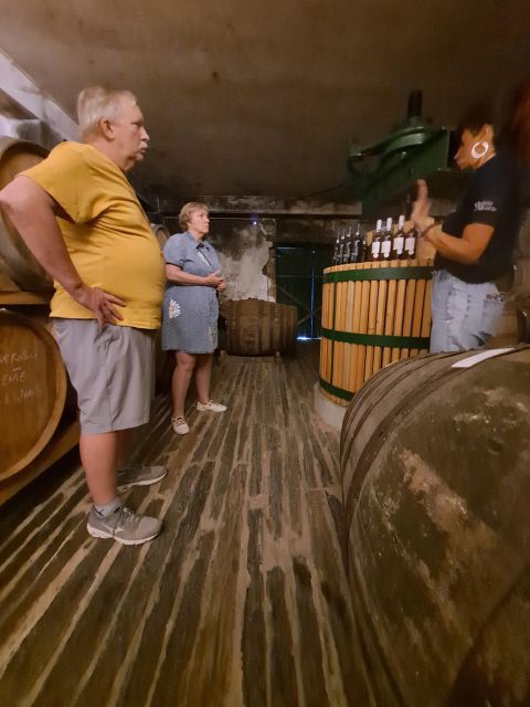 Douro Valley: 8-9h FD Tour at the Magic Valley! - Winery Selections