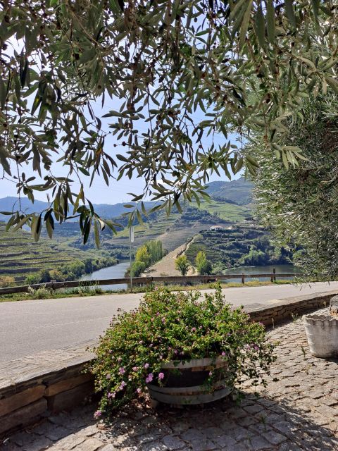 Douro Valley: 8-9h FD Tour at the Magic Valley! - Booking and Cancellation