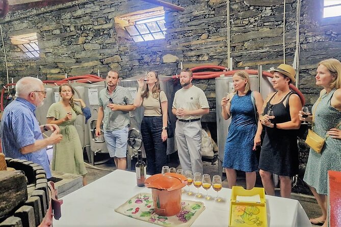 Douro Valley All Included: Expert Guide, Boat, Lunch, Tastings - Tour Highlights