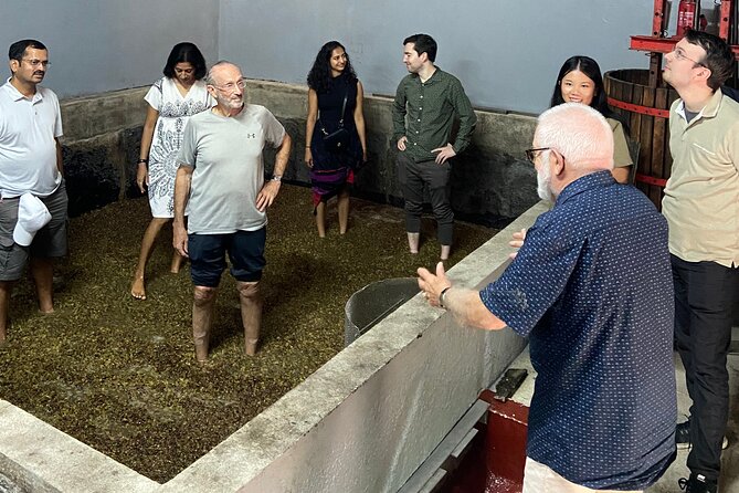 Douro Valley All Included: Expert Guide, Boat, Lunch, Tastings - Regional Lunch