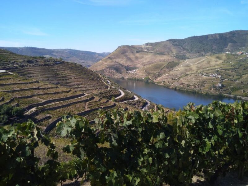 Douro Valley & Amarante - From Porto or Guimarães - Tour Overview