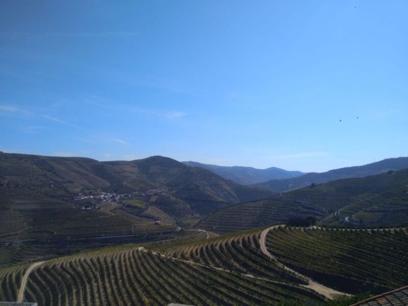 Douro Valley & Amarante - From Porto or Guimarães - Included Experiences