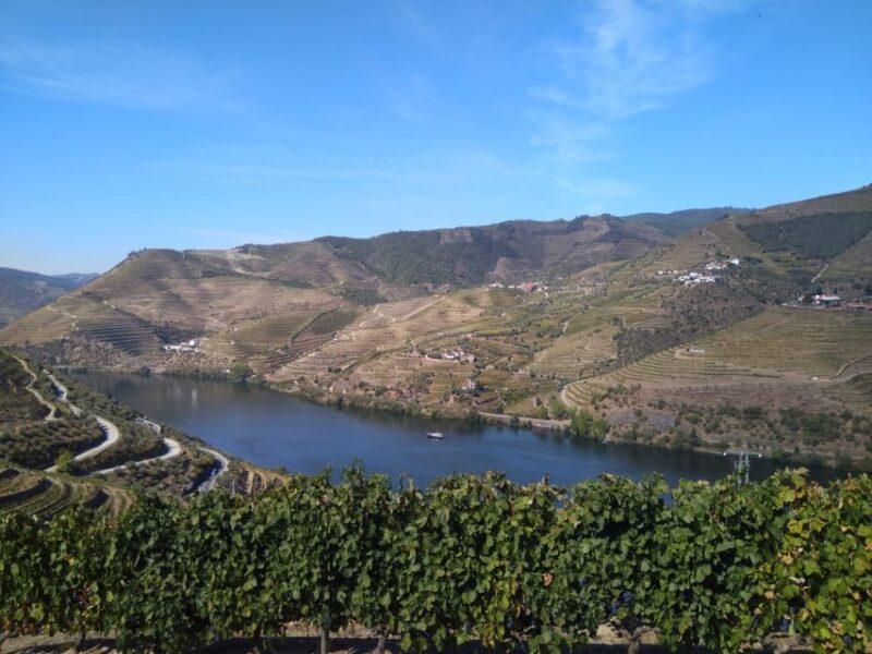 Douro Valley & Amarante - From Porto or Guimarães - Cancellation Policy