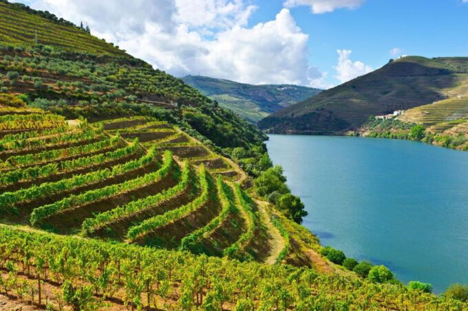 Douro Valley & Amarante - From Porto or Guimarães - Additional Information
