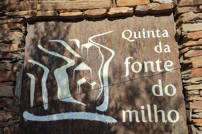 Douro Valley Amazing Wine Tours - Authentic Portuguese Cuisine