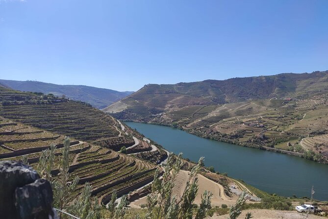 Douro Valley Amazing Wine Tours - Exceptional Guest Reviews