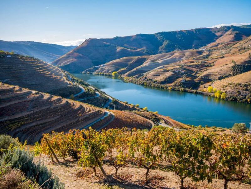 Douro Valley Delights: Wine Tasting and Scenic Vistas - Cancellation Policy
