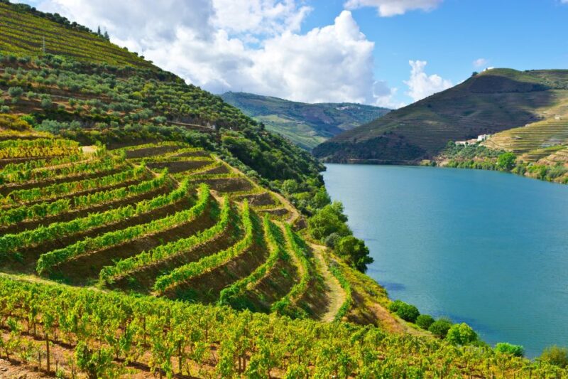 Douro Valley Delights: Wine Tasting and Scenic Vistas - Frequently Asked Questions