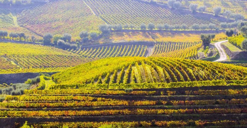 Douro Valley: Discovering the Douro in a Land Rover - Key Points
