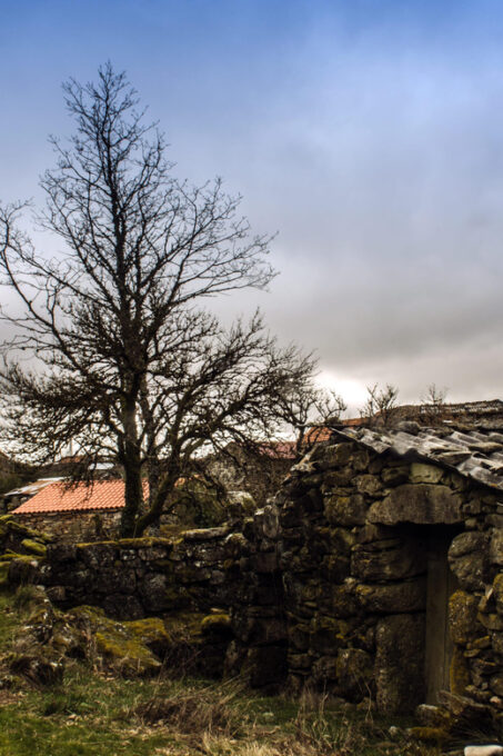 Douro Valley: Discovering the Douro in a Land Rover - Lunch and Dining Options