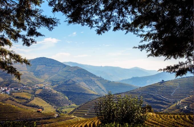 Douro Valley: Discovering the Douro in a Land Rover - Frequently Asked Questions